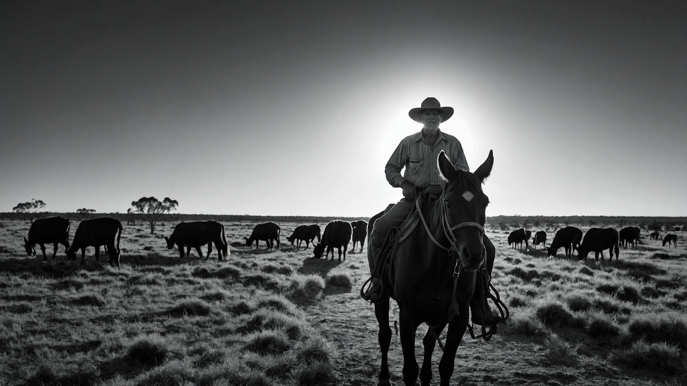Cowboys in the Australian Terrain: A Unique Heritage
