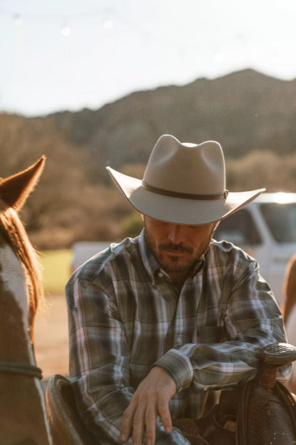 Horse facing camera, Man facing away wearing shirt and hat