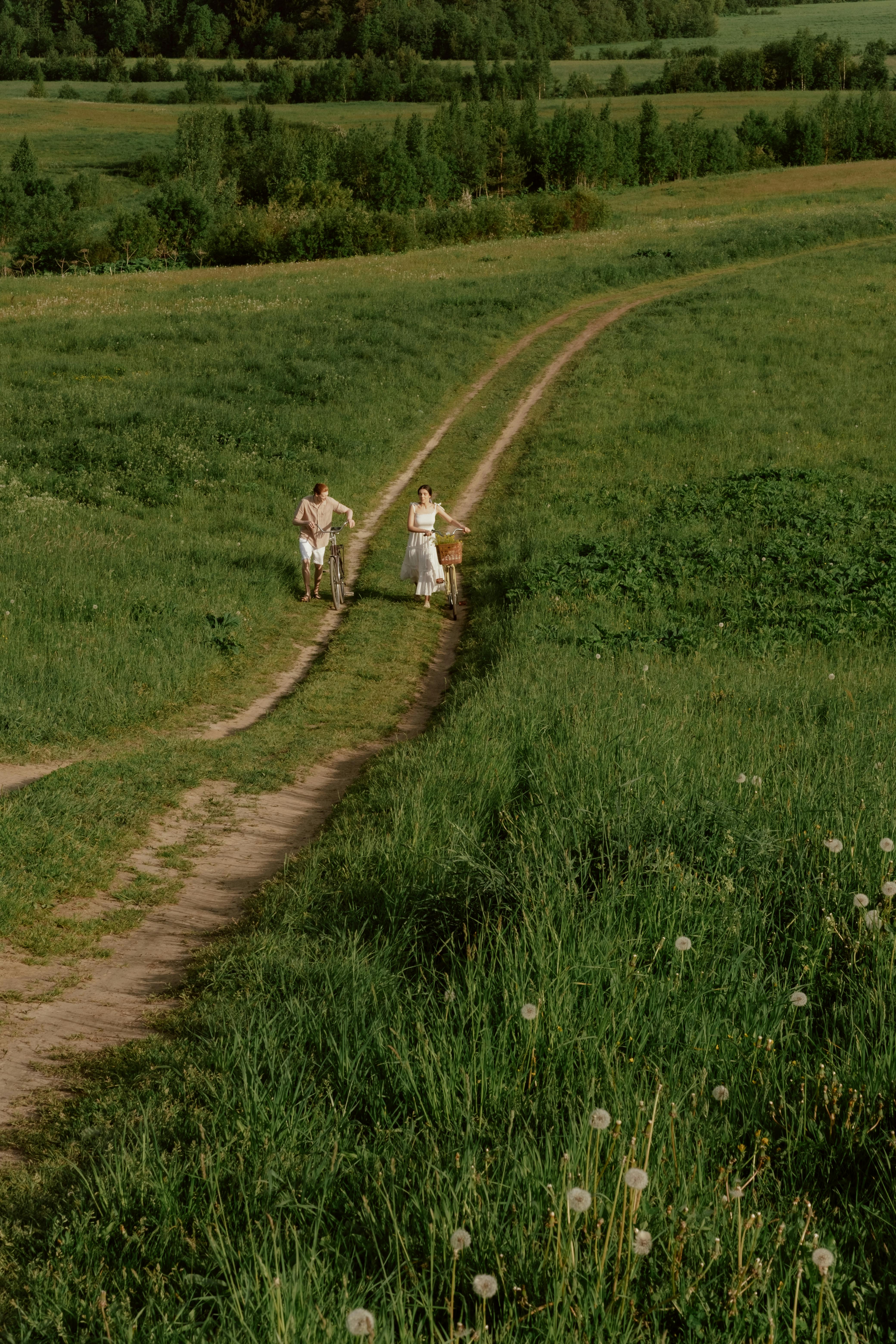 Couple walking along a grassy path pushing bikes in shorts