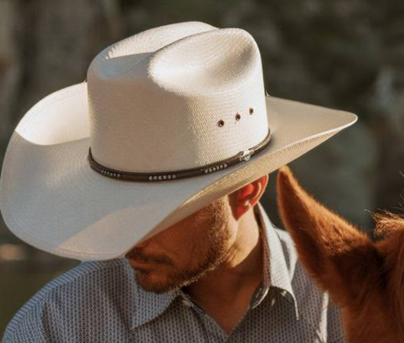 Stetson Oregon Straw Hat